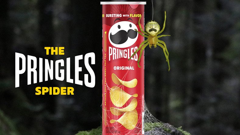 Pringles, Logosuna Benzeyen Örümceği 'Pringles Örümceği' Yapmak İçin Harekete Geçti (Isırınca Cipse Dönüşür müyüz?)