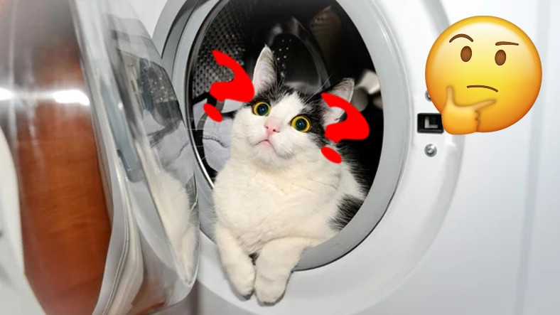Çamaşır Makinelerinin Camları Neden Özellikle 'İçeriye Doğru Şişkin' Şekilde Yapılır?