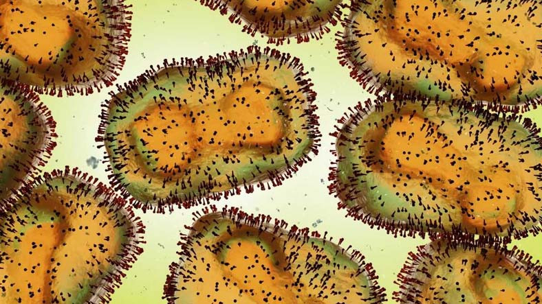 DSÖ'den Kritik Maymun Çiçeği Virüsü Toplantısı: Küresel Acil Durum İlan Edilebilir