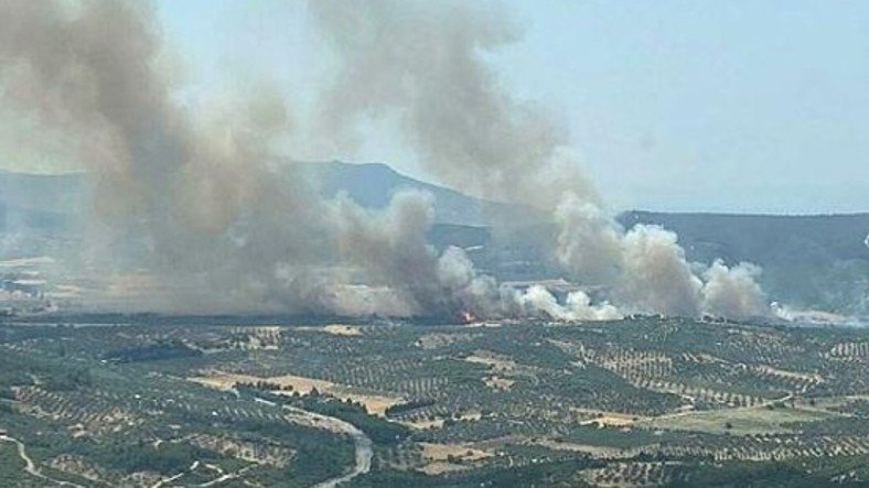 SON DAKİKA: İzmir'de Orman Yangını Başladı: Bölgeye Havadan ve Karadan Müdahale Ediliyor