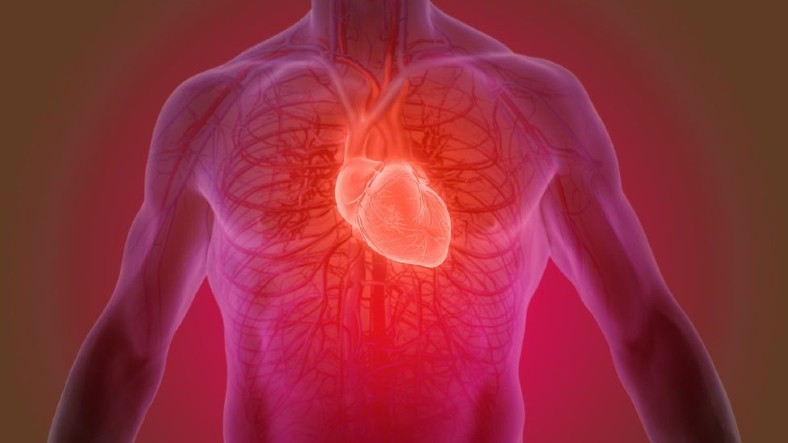 Kalp Krizini ‘İyileştirebilecek’ Yeni Bir Yöntem Keşfedildi: Milyonlarca Hayat Kurtulabilir