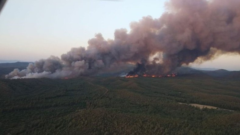 Marmaris'te Başlayan Yangın Hızla Yayılıyor: Havadan Müdahale Edilmediği İddiaları Tepkilere Sebep Oldu