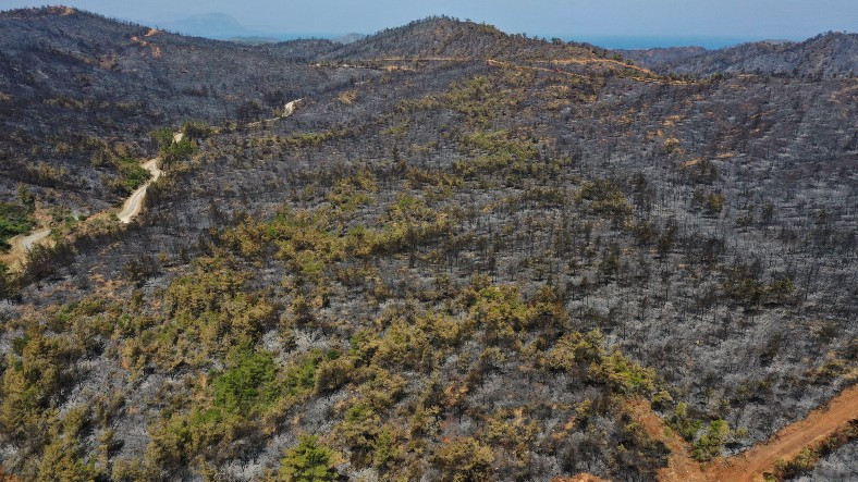 SON DAKİKA: Tarım ve Orman Bakanı, Marmaris'teki Yangının Kontrol Altına Alındığını Duyurdu