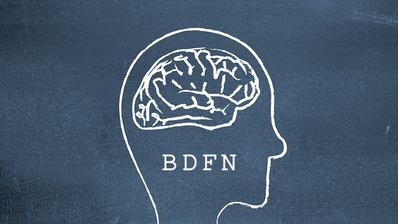 Öğrenme Yeteneğinizi En Üst Seviyeye Çıkaran Beyninizdeki 'BDNF Proteini' Nasıl Artırılır?