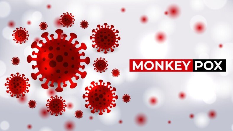 Dünya Sağlık Örgütü'nden Korkutan Açıklama: Maymun Çiçeği Vakaları Artmaya Devam Ediyor!