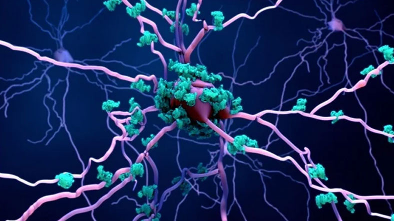 Beyin İltihabı İlk Kez Görüntülendi: Parkinson, Alzheimer Gibi Hastalıklar İçin Altın Değerinde Keşif…