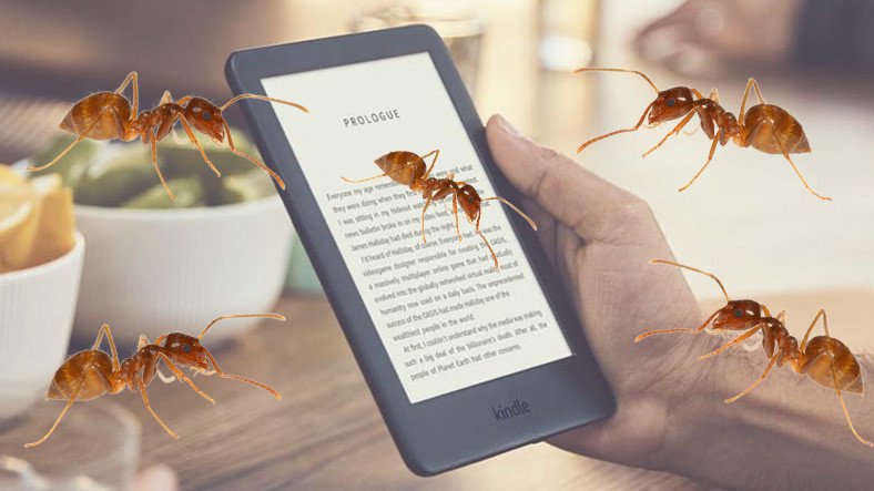 Bir Grup 'Deli Karınca', İstila Ettikleri Tabletten Kitap Sipariş Etti! [Video]