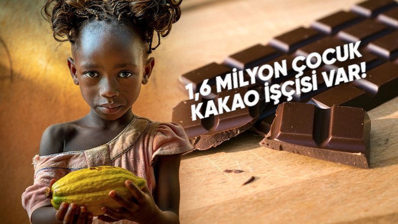 Bizim İçin Çikolata Üretmelerine Rağmen Çikolatanın Tadını Bile Bilmeyen Çocuk İşçilerin Hikâyesi