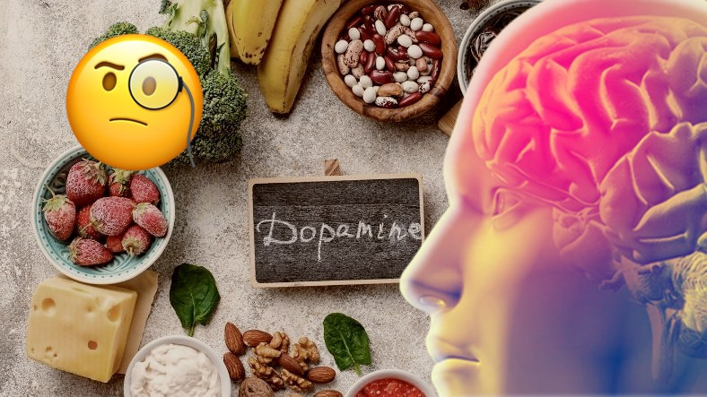Hafızamızdan Ruh Halimize Kadar Her Şeyimizi Etkileyen Hormon: 'Dopamin' Aslında Nedir, Eksikliği Nelere Yol Açar?