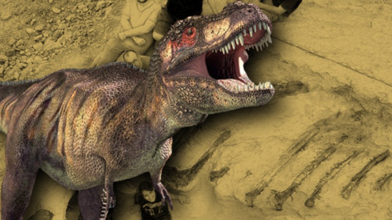 Dünya’nın En Büyük Dinozor Fosili Keşfedilmiş Olabilir: Tam 150 Milyon Yıllık!