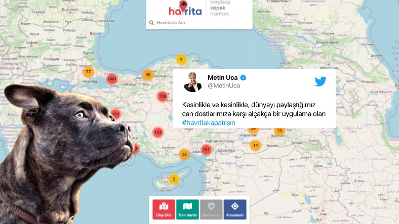 Sokak Köpeklerinin Konumunu Gösteren 'Havrita' Uygulaması Tartışmalara Sebep Oldu: Ünlülerden de Tepki Yağdı