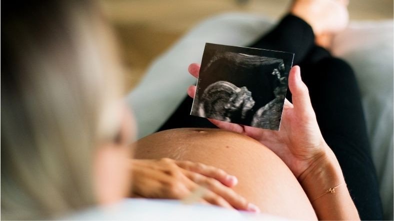 Anne Karnındaki Bebeği Aylarca Tok ve Sağlıklı Tutan 'Plasenta' Nedir? İşte Plasenta Hakkında 11 Enteresan Bilgi