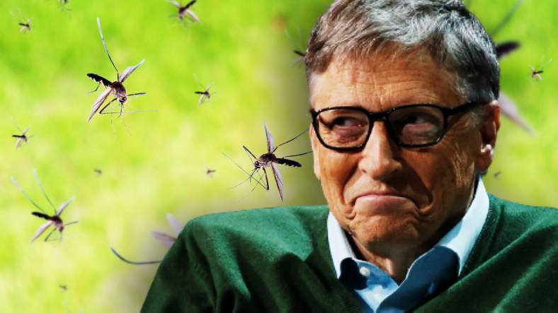 Bill Gates'in 'Çılgın' Sivrisinek Projesi Komplocuları Rahatsız Etti: Peki İşin Aslı Ne?