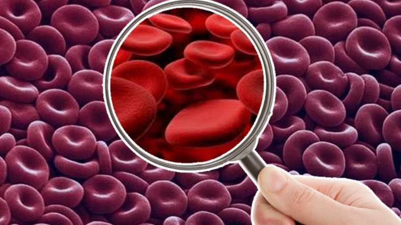 En Basit Haliyle Nefes Alıp Vermemizi Sağlayan Kan Hücresi 'Eritrosit (RBC)' Nedir, Yüksekliği ve Düşüklüğü Ne Anlama Gelir?