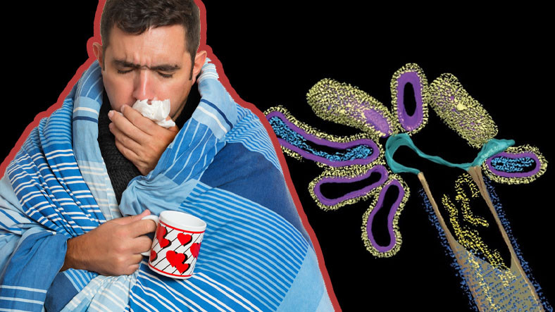 Grip Virüsü, Başka Bir Virüsle 'Hibrit Virüs' Oluşturdu: Daha Ağır Geçen Bir Hastalığa Neden Oluyor