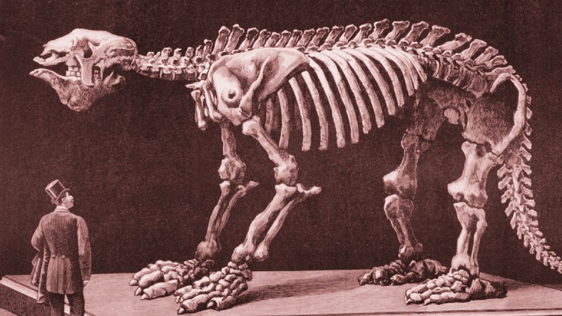 Dinozorlardan Sonra Dünya Üzerinde Yaşamış Olan En Büyük Kara Canlısı: Megatherium