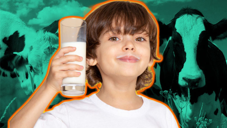 Vücudumuz İçin Önemli Bir Protein Kaynağı Olan Sütün Saymakla Bitmeyen Faydaları