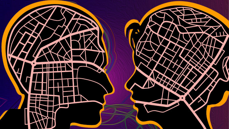 Beynin Bugüne Kadarki En Detaylı "Haritası" Çıkarıldı