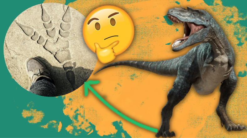 Bir Dinozorun Milyonlarca Yıl Önceden Kalma Ayak İzi Nasıl Oluyor da Bozulmadan Günümüze Kadar Ulaşıyor?