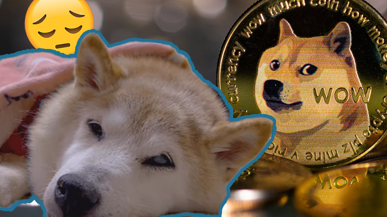 Dogecoin Logosuna İlham Olan Köpek 'Kabosu', Kansere Yakalandı