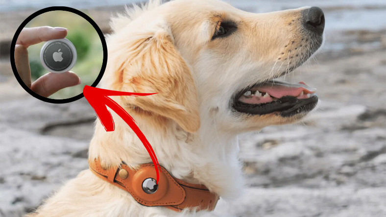 Hatalı AirTag Kullanımı, Köpeğiniz İçin Ölümcül Sonuçlara Neden Olabilir (Hayır, Sorumlusu Apple Değil)
