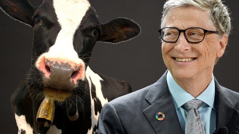 Bill Gates, İneklerin Gaz Çıkarmasını Engellemek İçin Milyonlarca Dolar Bağış Yaptı!