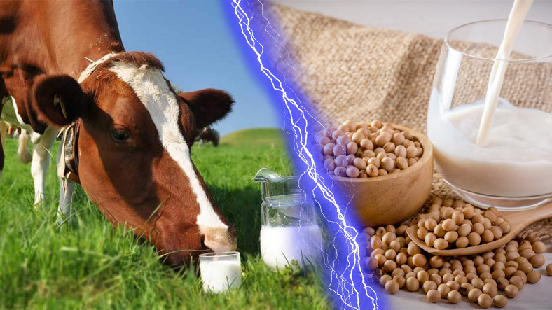 Bitkisel Süt Alternatiflerinin 'Süt' Olarak Satılması Hakkında ABD'den Emsal Olabilecek Karar