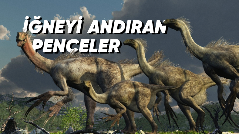 Bazılarını Jurassic Park'ta Bile Görmediğiniz Birbirinden İlginç Dinozor Türleri