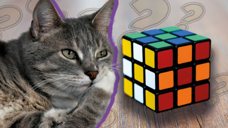 Karmaşık Görünen Rubik Küpleri Aslında Birkaç Basit Adımda Çözmek Mümkün: Peki ama Nasıl?