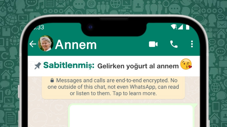 WhatsApp'ın Sabitlenmiş Mesaj Özelliğinden İlk Ekran Görüntüsü Geldi ("Ben Söylemiştim" Kavgaları Bitecek)
