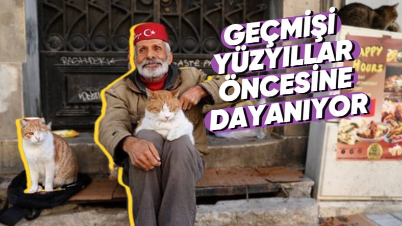 Türkler Olarak Hayvanları Neden Bu Kadar Çok Seviyoruz?