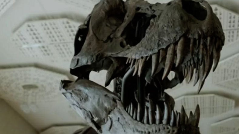 11 Metrelik Dev T-Rex İskeleti, Milyonlarca Dolara Satıldı