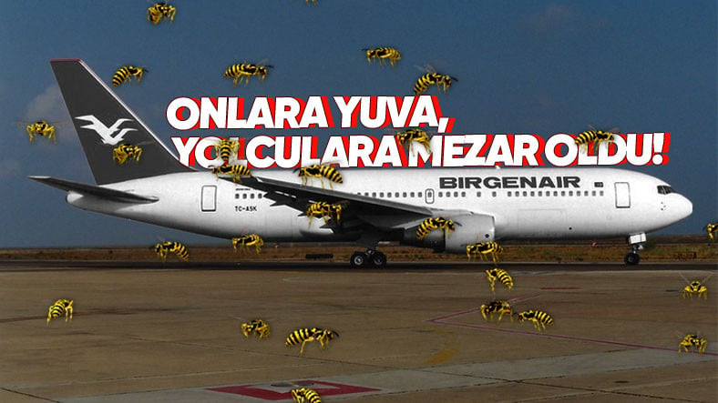 "Arılar"dan Ötürü Okyanusa Düşen Türk Yolcu Uçağı