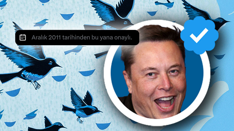 Twitter'da Paralı ve Gerçek Mavi Tikleri Ayırabilirsiniz - Webtekno