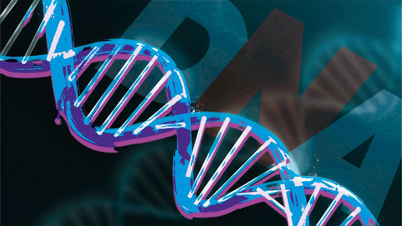 Aslında Her Gün Mutasyona Uğruyoruz: İnsanı İnsan Yapan DNA Hakkında Hayret Verici 9 Bilimsel Gerçek