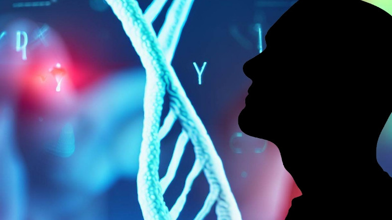 Cinsiyetimizi Belirleyen Y Kromozomunun Genetik Kodu, Birinci Defa Baştan Sona Haritalandırıldı